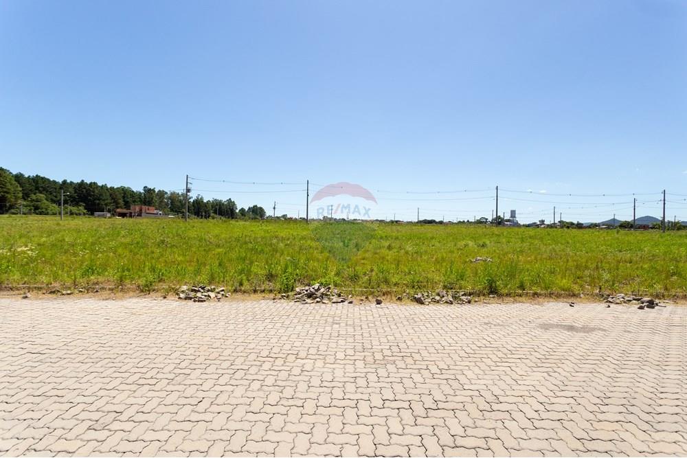 Terreno - Venda - Santa Maria , Rio Grande do Sul - Apto-2.jpg - 610311050-47