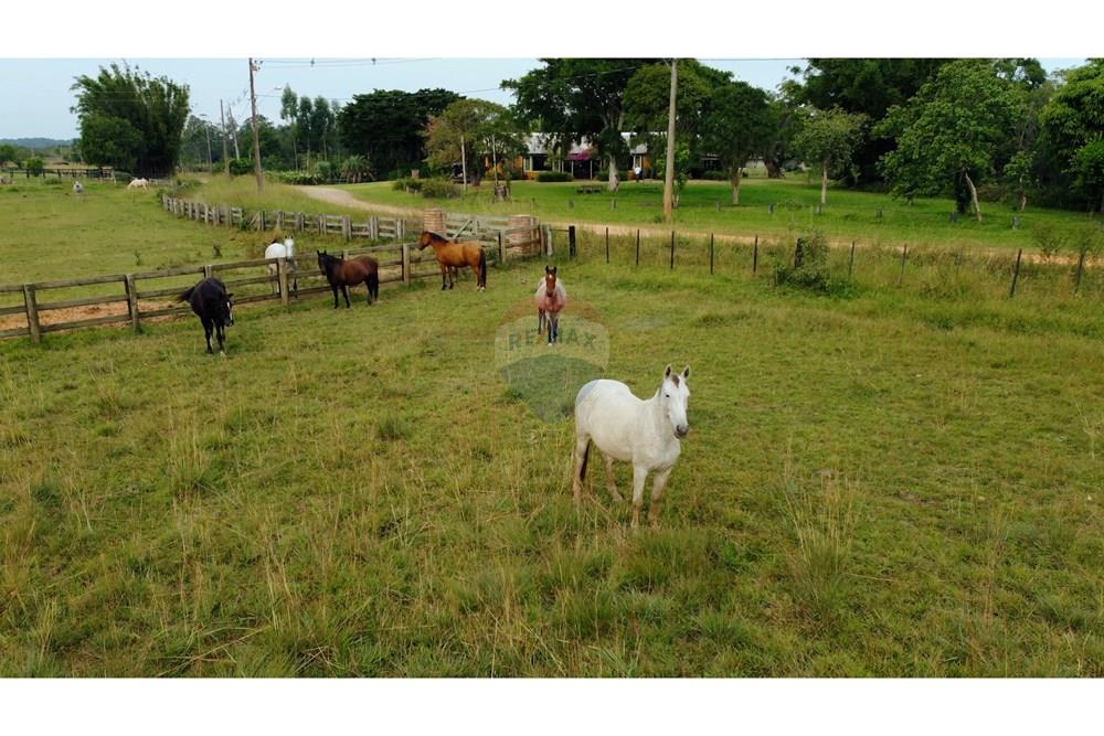 Chácara / Sítio / Fazenda - Venda - Viamão , Rio Grande do Sul - DRONE EL PARAÍSO.00_02_53_20.Quadro004 (1).jpg - 612531061-5