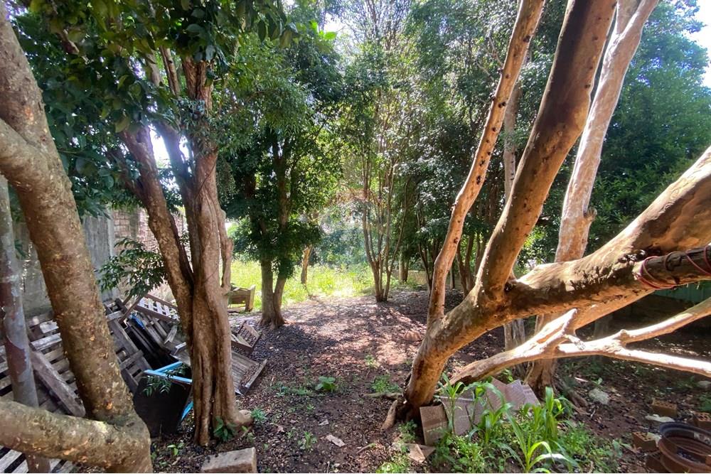 Terreno - Venda - Passo Fundo , Rio Grande do Sul - IMG-20251113-WA0116.jpg - 610271093-30