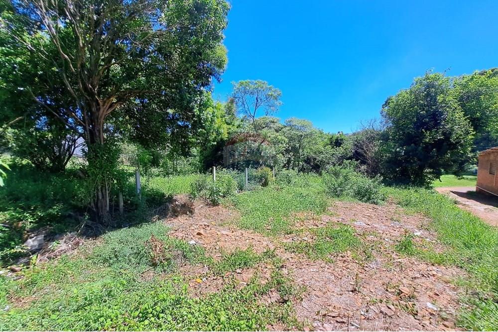 Terreno - Venda - Passo Fundo , Rio Grande do Sul - WhatsApp Image 2026-01-05 at 15.10.51 (2).jpeg - 610351082-4