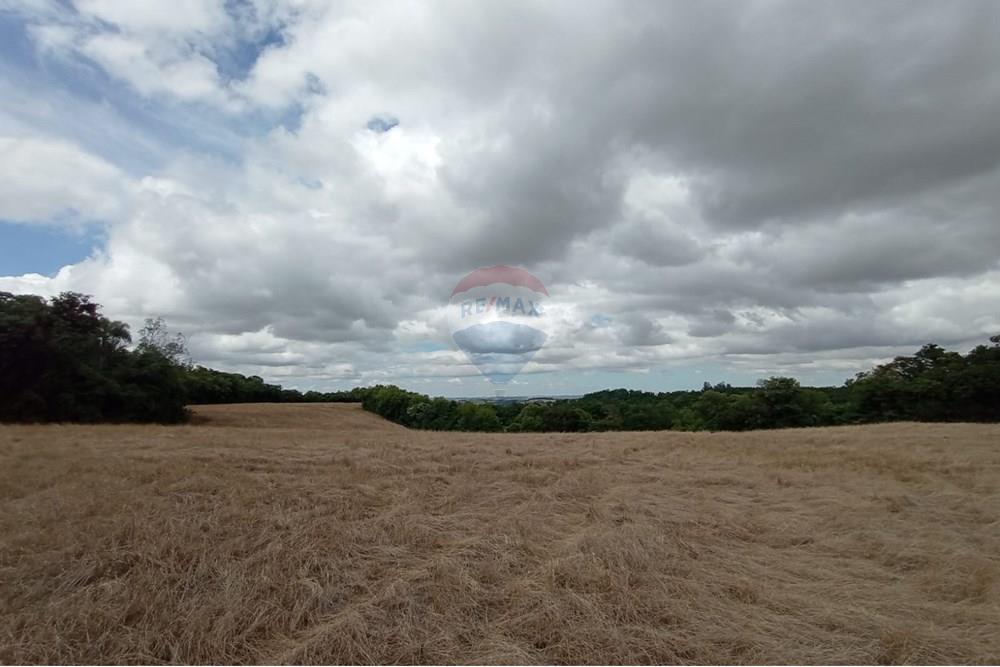 Chácara / Sítio / Fazenda - Venda - Sarandi , Rio Grande do Sul - WhatsApp Image 2025-11-26 at 16.01.41 (1).jpeg - 610341020-16