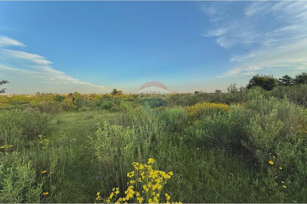 Terreno - Venda - São Gabriel , Rio Grande do Sul - WhatsApp Image 2025-10-24 at 10.48.21.jpeg - 612631001-66