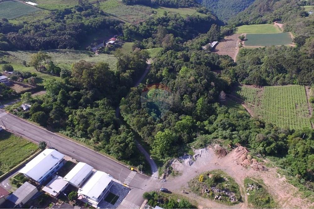 Terreno - Venda - Nova Pádua , Rio Grande do Sul - DJI_0044.jpg - 612551039-219