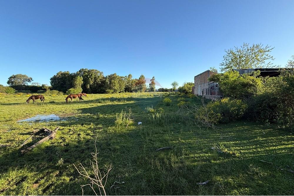 Terreno - Venda - São Gabriel , Rio Grande do Sul - Imagem do WhatsApp de 2025-10-16 à(s) 14.42.37_0fd6e083.jpg - 612631046-34