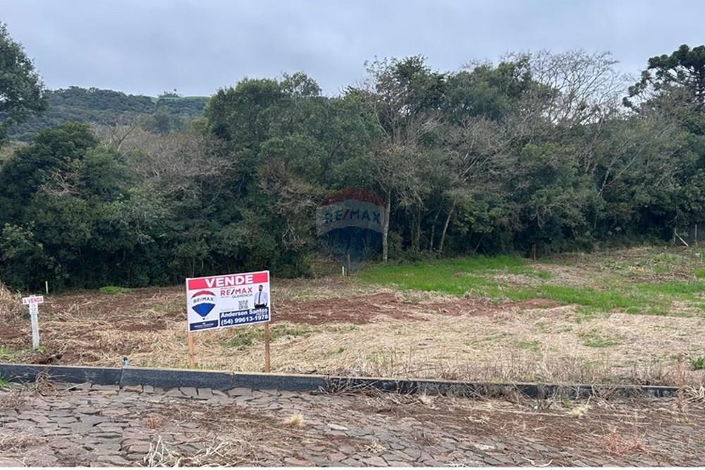 Terreno - Venda - Barão de Cotegipe , Rio Grande do Sul - WhatsApp Image 2025-08-09 at 14.36.36 (1).jpeg - Fachada - 612761035-7