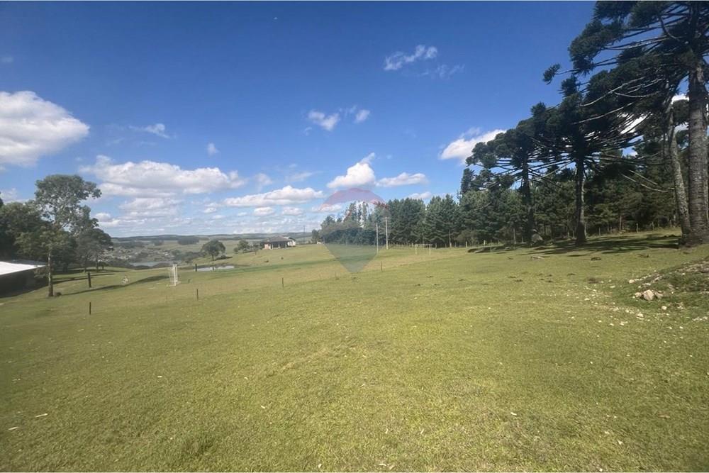 Casa de Campo - Venda - São Francisco de Paula , Rio Grande do Sul - WhatsApp Image 2026-01-21 at 08.58.14 (1).jpeg - 610131034-43