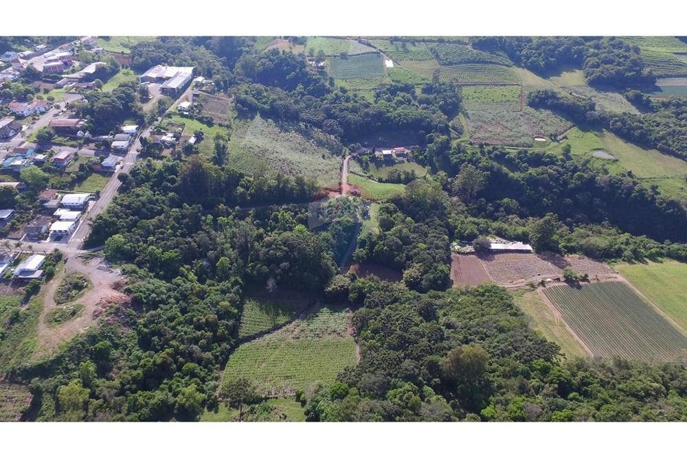 Terreno - Venda - Nova Pádua , Rio Grande do Sul - DJI_0048.jpg - 612551039-219