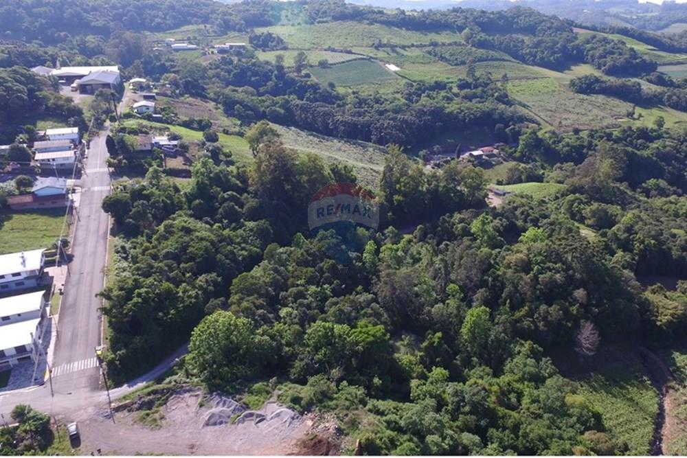 Terreno - Venda - Nova Pádua , Rio Grande do Sul - DJI_00681.jpg - 612551039-219