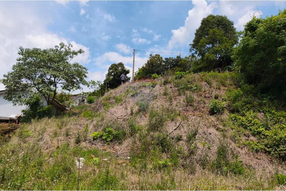 Terreno - Venda - São Valentim , Rio Grande do Sul - WhatsApp Image 2025-10-11 at 13.51.07.jpeg - Fachada - 612761006-54