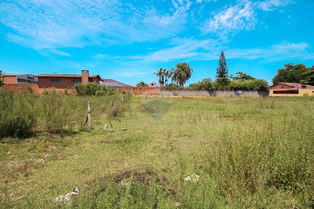 Terreno - Venda - Santa Maria , Rio Grande do Sul - IMG_4973.jpg - 610471031-19