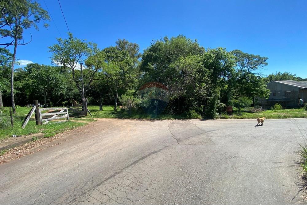 Terreno - Venda - Passo Fundo , Rio Grande do Sul - terrenoclovisJABOTICABAL.jpg - 610271093-32