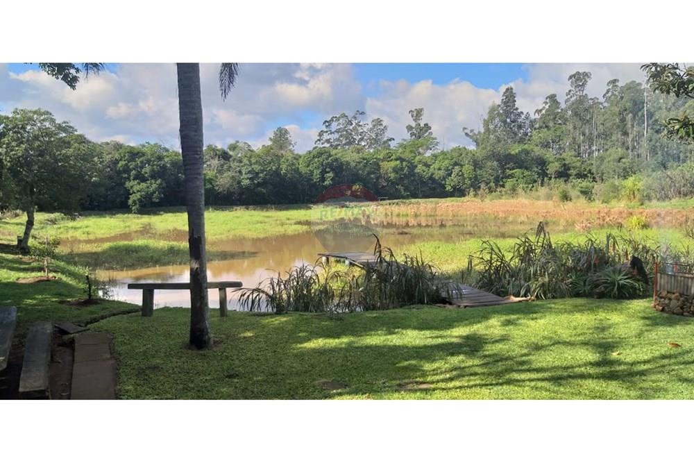 Chácara / Sítio / Fazenda - Venda - Brochier , Rio Grande do Sul - foto 9.jpg - 610091003-74