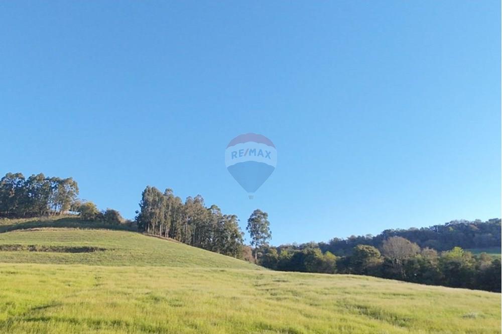 Agro - Venda - Três Palmeiras , Rio Grande do Sul - WhatsApp Image 2025-08-30 at 19.38.24.jpeg - 610231001-208