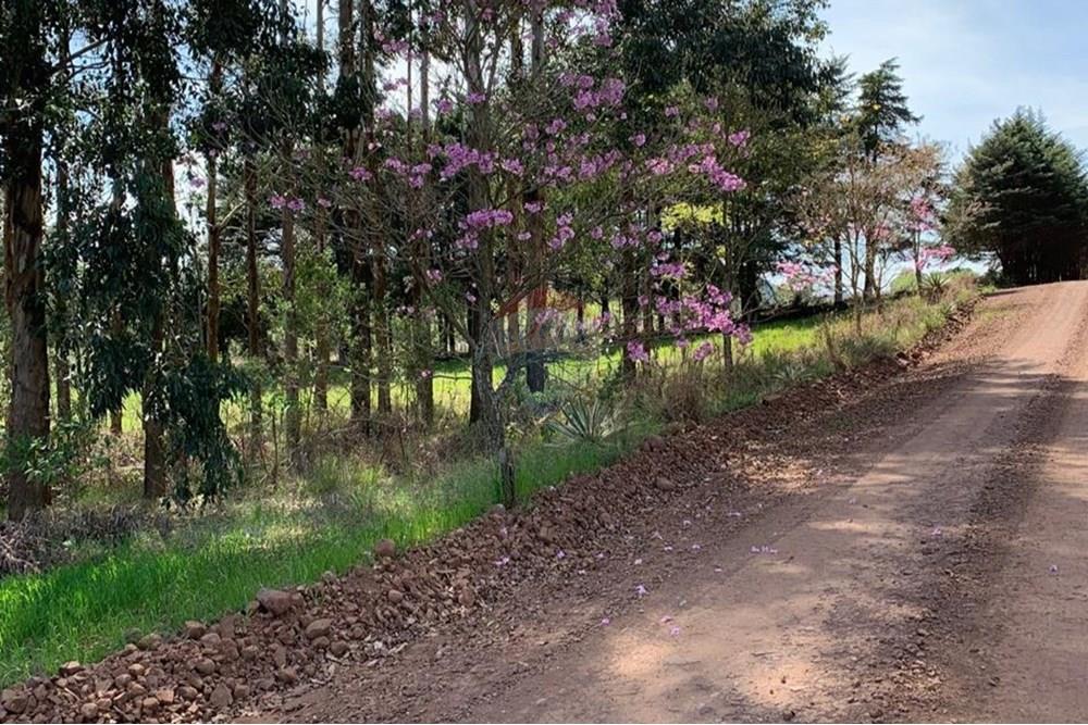 Chácara / Sítio / Fazenda - Venda - Sarandi , Rio Grande do Sul - WhatsApp Image 2025-07-03 at 11.19.38 (1).jpeg - 610341006-382