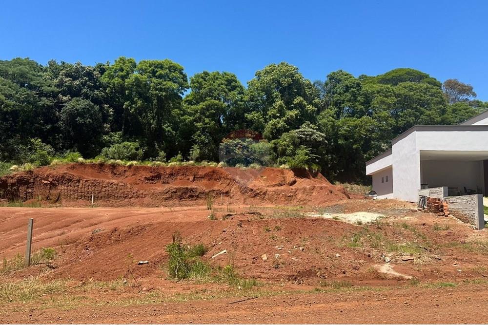 Terreno - Venda - Três Palmeiras , Rio Grande do Sul - WhatsApp Image 2025-11-24 at 14.30.16 (3).jpeg - 610231001-221