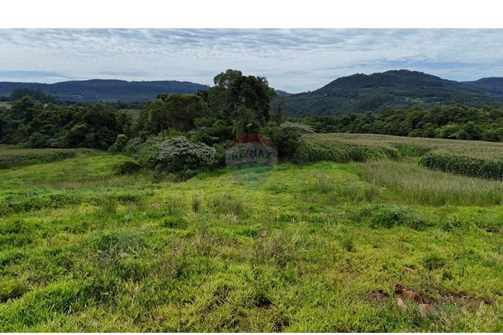 Chácara / Sítio / Fazenda - Venda - Gramado , Rio Grande do Sul - WhatsApp Image 2026-02-24 at 16.26.07 (3).jpeg - 610131034-44