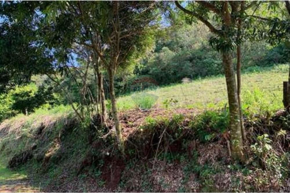 Chácara / Sítio / Fazenda - Venda - Santa Cruz do Sul , Rio Grande do Sul - WhatsApp Image 2025-11-07 at 11.04.18 (4).jpeg - 612741028-61