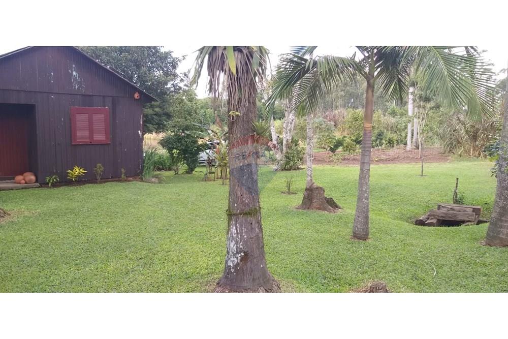 Chácara / Sítio / Fazenda - Venda - Brochier , Rio Grande do Sul - foto 4.jpg - 610091003-74