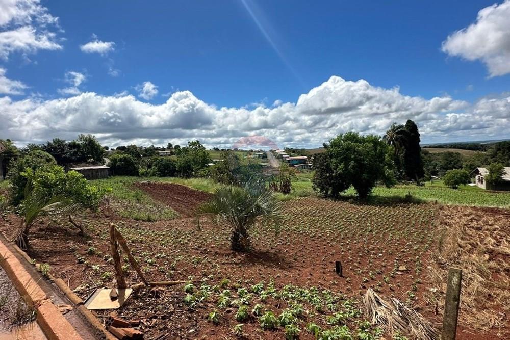 Terreno - Venda - Três Palmeiras , Rio Grande do Sul - WhatsApp Image 2025-11-17 at 11.08.44 (1).jpeg - 610231038-3