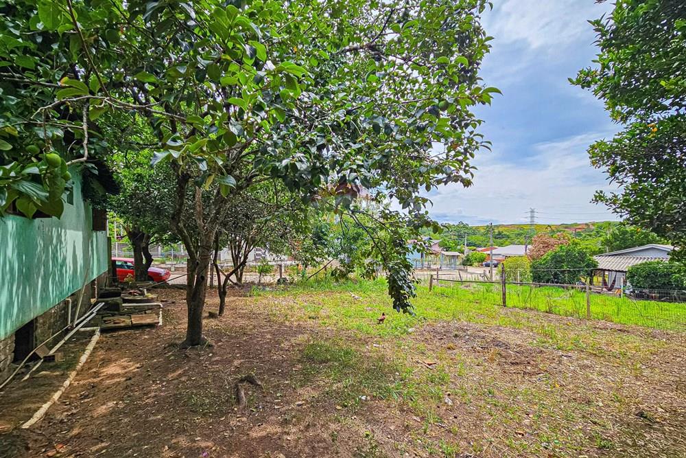 Casa - Venda - São Leopoldo , Rio Grande do Sul - 20251212_141225.jpg - 610411026-72