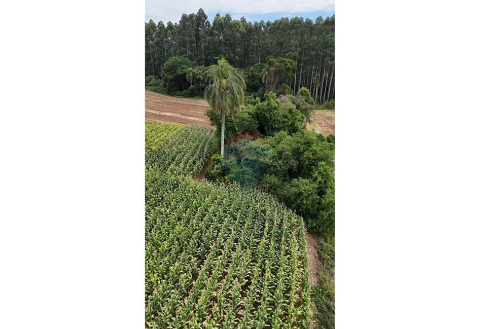 Chácara / Sítio / Fazenda - Venda - Gramado , Rio Grande do Sul - WhatsApp Image 2026-02-24 at 18.00.10.jpeg - 610131034-44