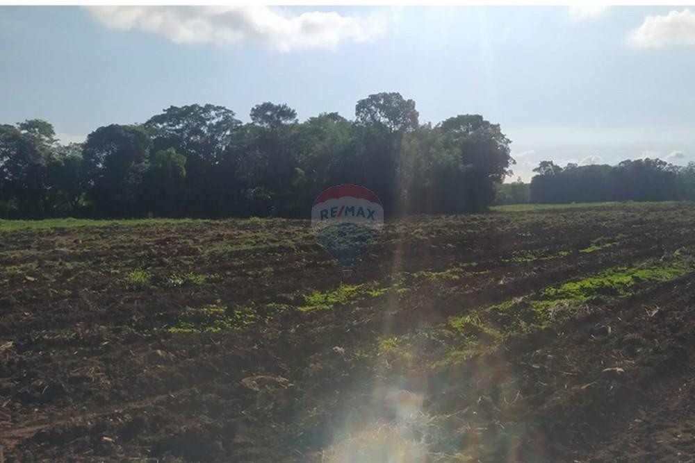 Terreno - Venda - Terra de Areia , Rio Grande do Sul - 873bb06b-9d8a-40d4-837b-80cc55626ea2.jpg - 612671028-42