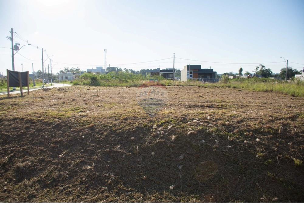 Terreno - Venda - Gravataí , Rio Grande do Sul - 6.jpeg - 612551074-9