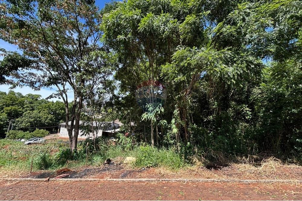 Terreno - Venda - Constantina , Rio Grande do Sul - WhatsApp Image 2025-12-16 at 16.29.38 (1).jpeg - 610341005-82