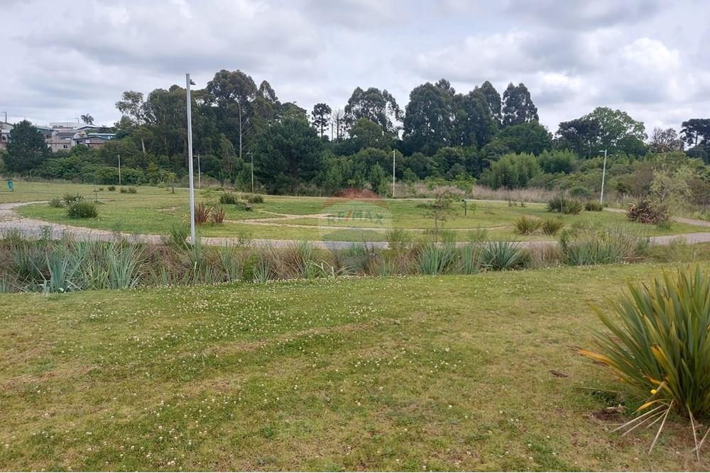 Terreno - Venda - Passo Fundo , Rio Grande do Sul - WhatsApp Image 2025-11-14 at 09.05.43 (3).jpeg - 612721047-1