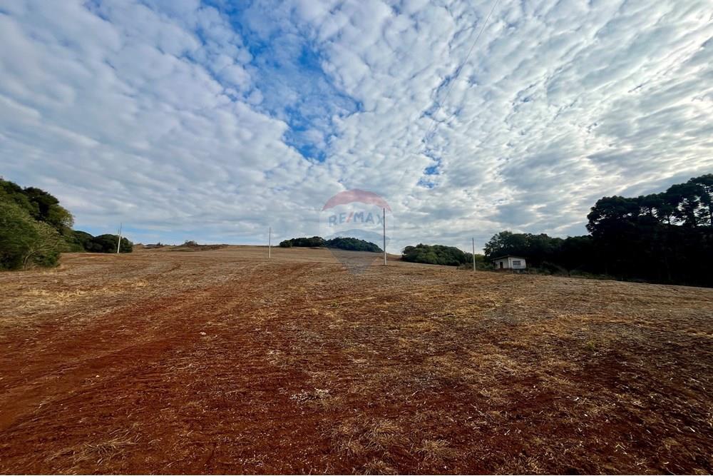 Fazenda - Venda - Lagoa Vermelha , Rio Grande do Sul - IMG_2517.jpg - 610111017-1