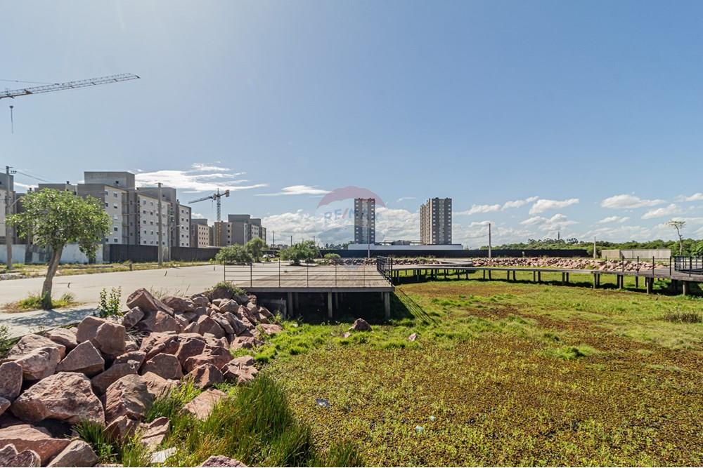 Terreno - Venda - Pelotas , Rio Grande do Sul - Terreno areal -10.jpg - 610211001-129