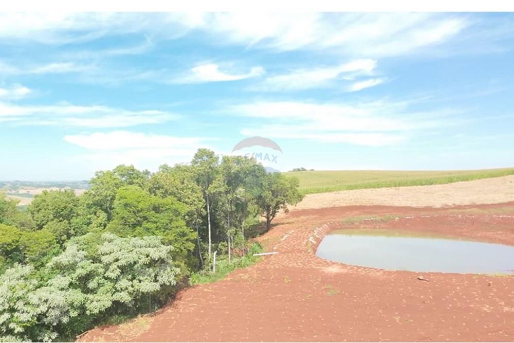 Chácara / Sítio / Fazenda - Venda - Três Palmeiras , Rio Grande do Sul - IMG-20251129-WA0005.jpg - 610231029-134