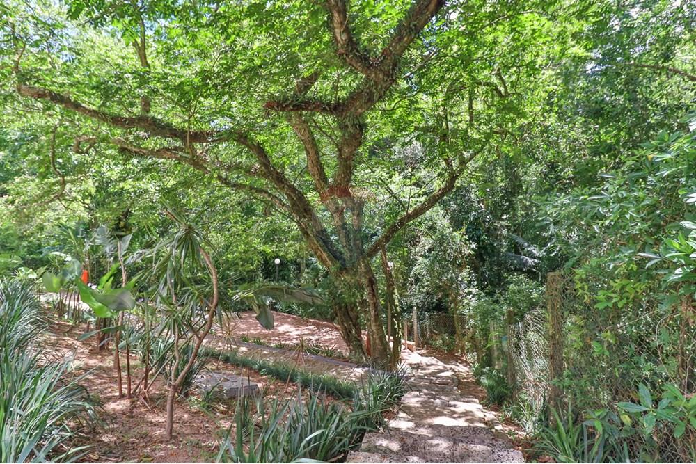 Apartamento - Venda - Porto Alegre , Rio Grande do Sul - 38.jpg - 610191042-221