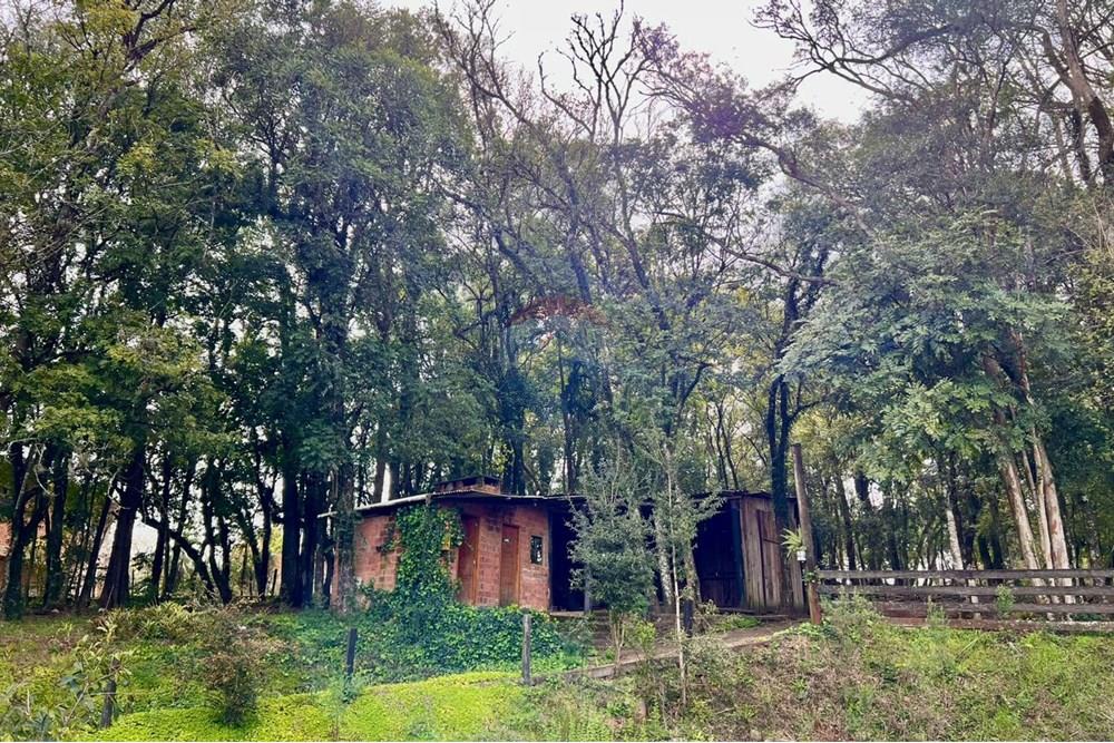 Chácara / Sítio / Fazenda - Venda - Passo Fundo , Rio Grande do Sul - 29.jpeg - 610271019-88