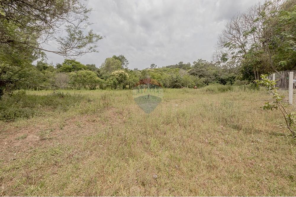 Terreno - Venda - Porto Alegre , Rio Grande do Sul - 0805-272 (2).jpg - 612521075-18