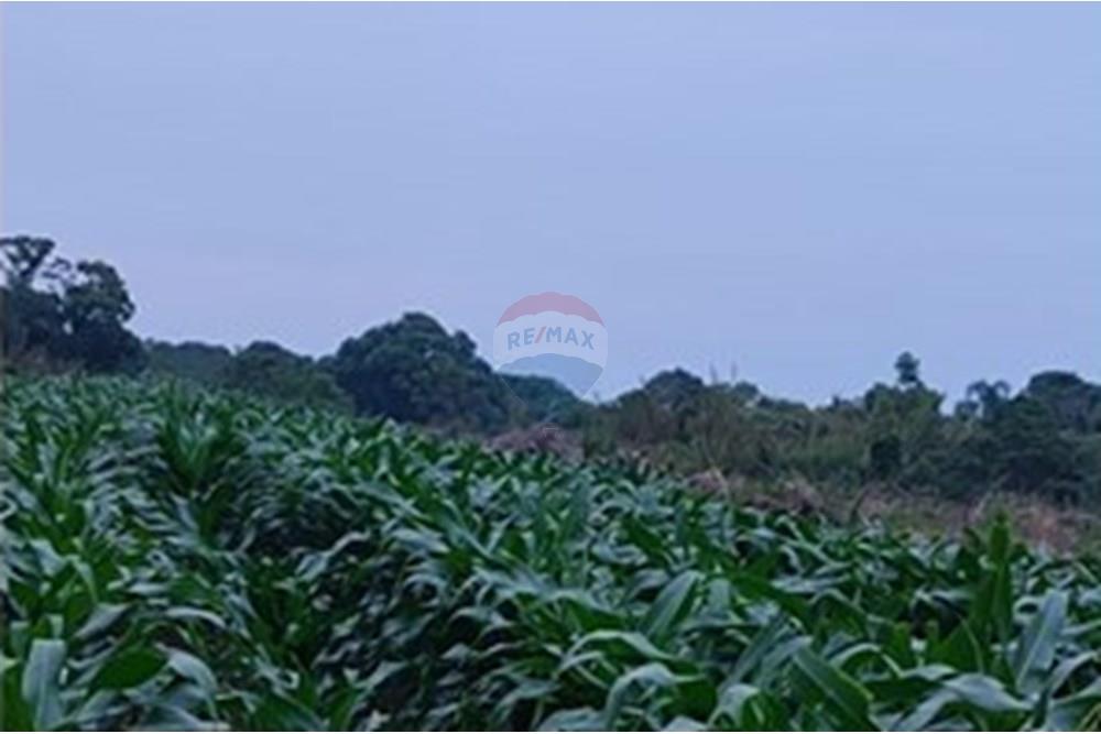Chácara / Sítio / Fazenda - Venda - Brochier , Rio Grande do Sul - f12.jpg - 610091003-74