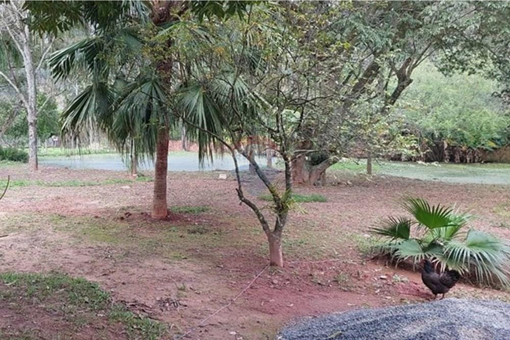 Chácara / Sítio / Fazenda - Venda - Cachoeirinha , Rio Grande do Sul - WhatsApp Image 2025-10-14 at 12.34.30 (1).jpeg - 612551074-25