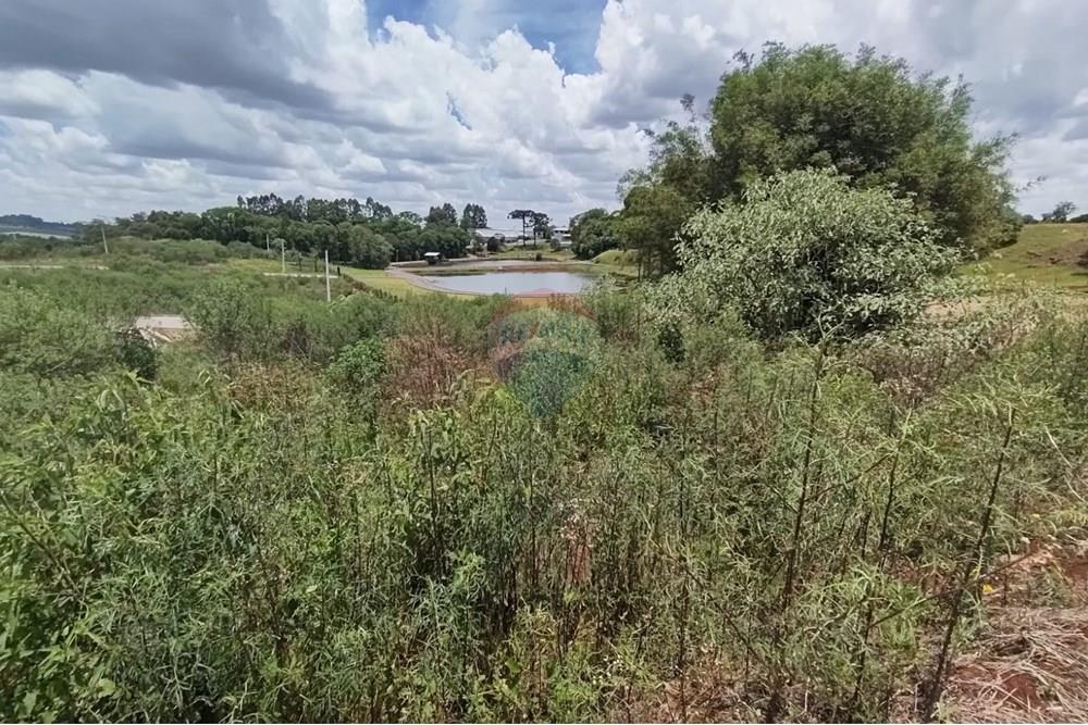 Terreno - Venda - Erechim , Rio Grande do Sul - WhatsApp Image 2025-12-03 at 09.48.09 (2).jpeg - 612761006-64