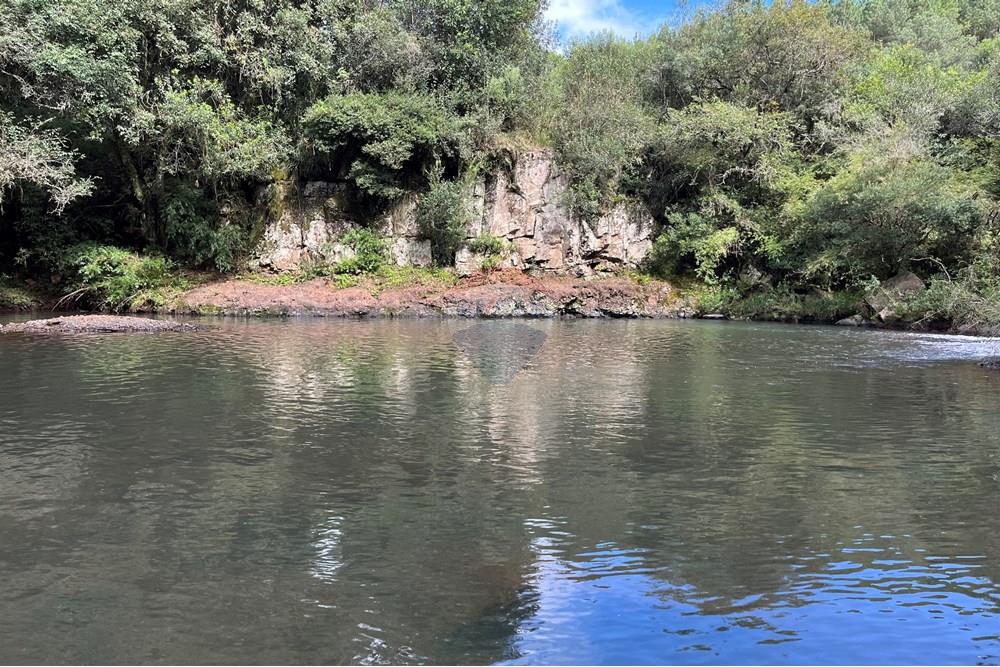 Chácara / Sítio / Fazenda - Venda - Lagoa Vermelha , Rio Grande do Sul - IMG_4187.jpg - 610111017-6