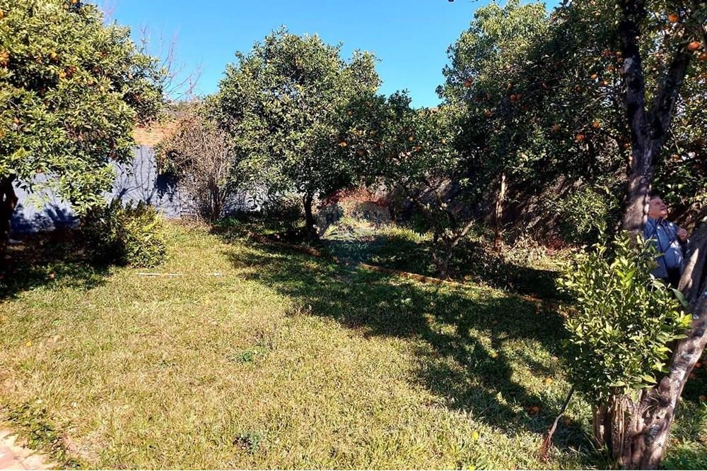 Casa - Venda - Passo Fundo , Rio Grande do Sul - WhatsApp Image 2025-08-08 at 11.24.00 (2).jpeg - 612721043-2