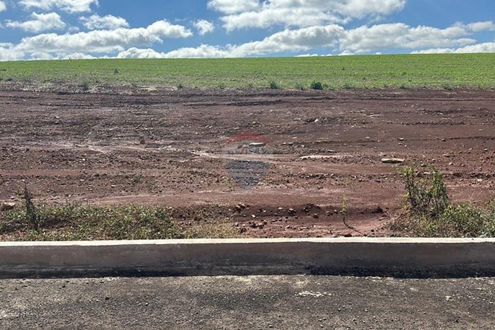 Terreno - Venda - Três Palmeiras , Rio Grande do Sul - WhatsApp Image 2025-06-12 at 17.00.49 (1).jpeg - 610231001-229