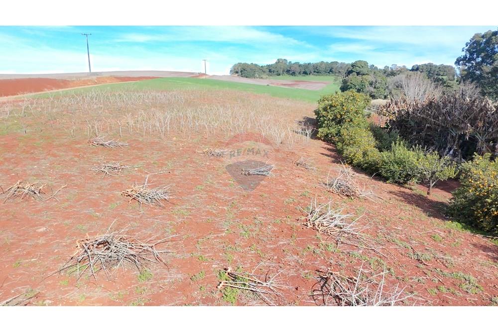 Chácara / Sítio / Fazenda - Venda - Nonoai , Rio Grande do Sul - 1000606540.jpg - 610231010-128