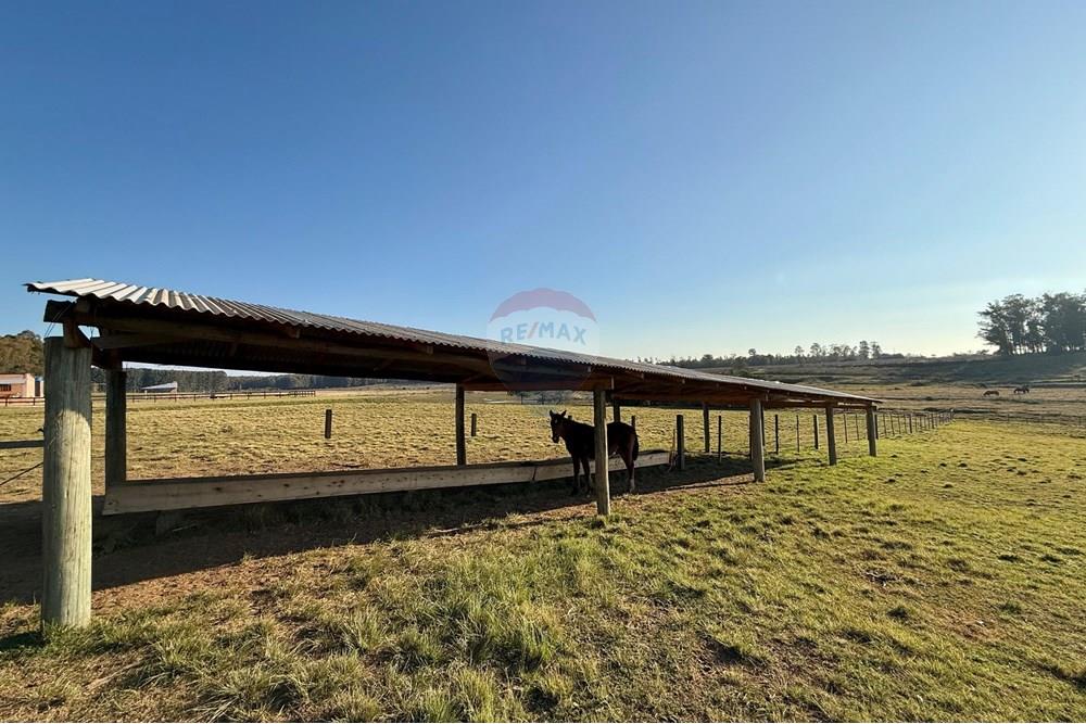 Chácara / Sítio / Fazenda - Venda - São Gabriel , Rio Grande do Sul - 22a75c8b-9aa7-479c-8bc5-09d859365229.jpeg - 612631037-9