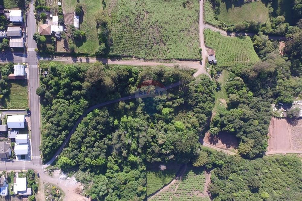Terreno - Venda - Nova Pádua , Rio Grande do Sul - DJI_00611.jpg - 612551039-219