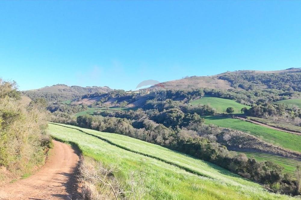 Agro - Venda - Três Palmeiras , Rio Grande do Sul - WhatsApp Image 2025-08-30 at 19.35.33.jpeg - 610231001-210