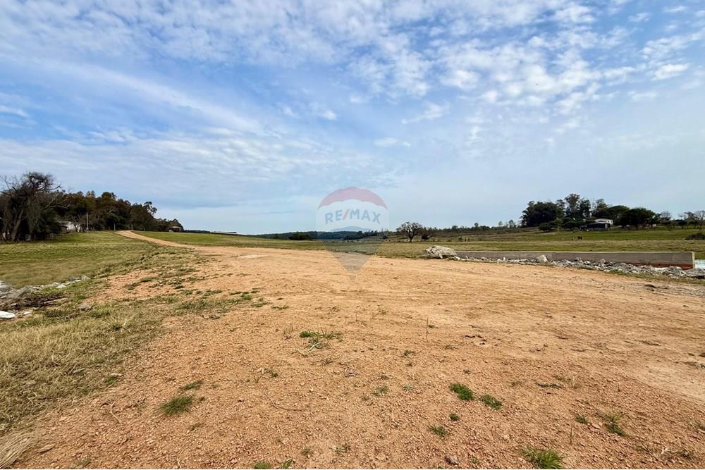 Chácara / Sítio / Fazenda - Venda - São Gabriel , Rio Grande do Sul - 7890d5ab-e17c-4e54-bb7f-270245611e62.jpeg - 612631037-9