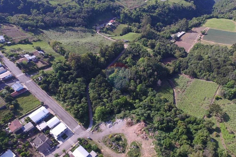 Terreno - Venda - Nova Pádua , Rio Grande do Sul - DJI_00451.jpg - 612551039-219
