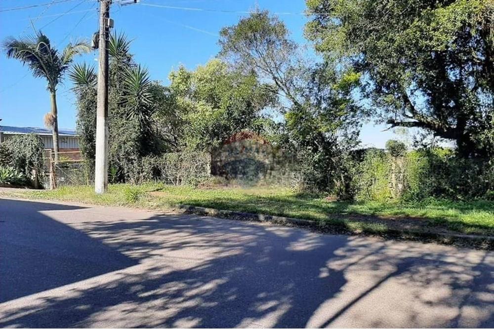 Chácara / Sítio / Fazenda - Venda - Alvorada , Rio Grande do Sul - WhatsApp Image 2025-07-31 at 16.29.23.jpeg - 612531061-12