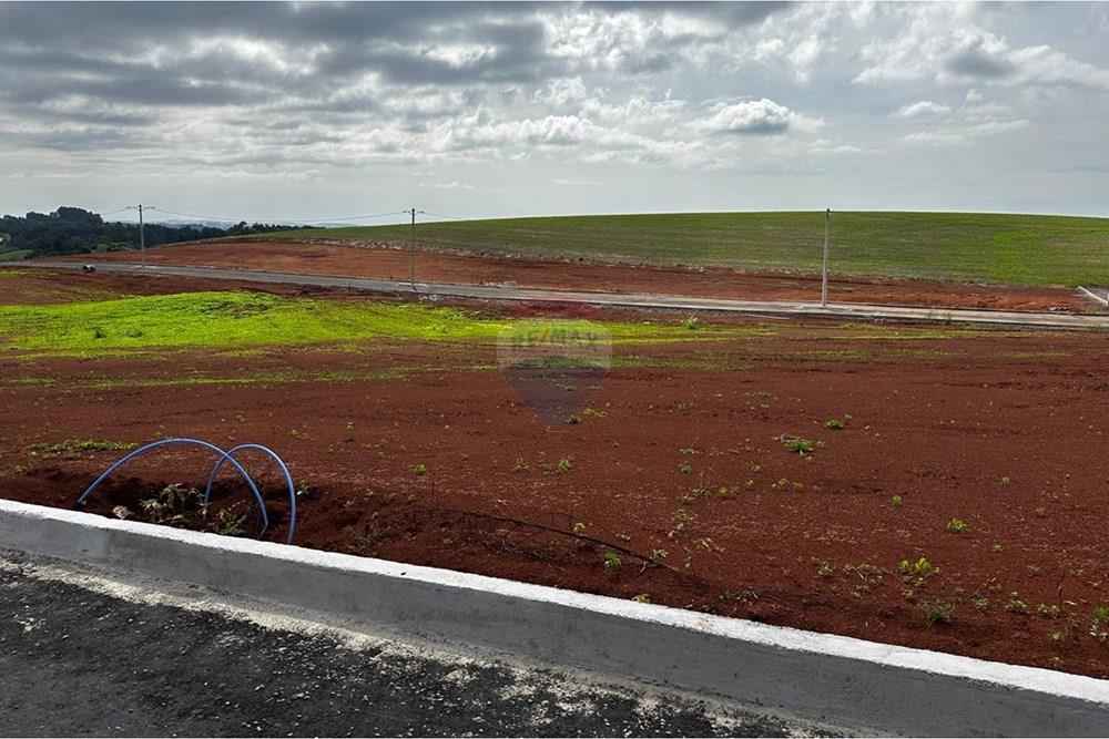 Terreno - Venda - Três Palmeiras , Rio Grande do Sul - WhatsApp Image 2025-06-12 at 17.00.49.jpeg - 610231001-229