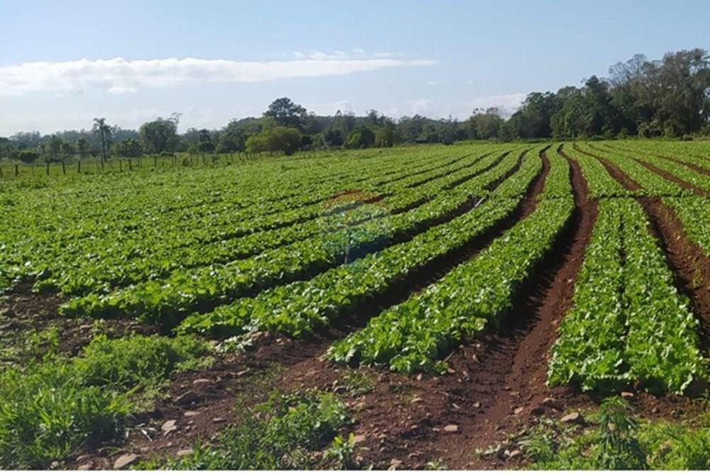 Terreno - Venda - Terra de Areia , Rio Grande do Sul - 56b31348-8340-43ae-b3ef-62b7cb4704e9.jpg - 612671028-46